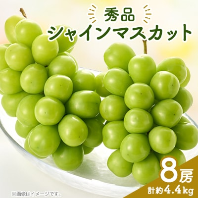 シャインマスカット(8房)