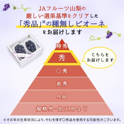 種なしピオーネ(2房)/80