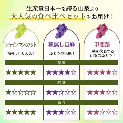 3色詰合せ　シャインマスカット・種なし巨峰・甲斐路(各1房)計3房