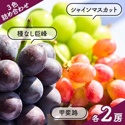 3色詰め合わせ　シャインマスカット・種なし巨峰・甲斐路(各2房)計6房