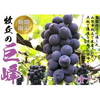 巨峰の丘　ぶどうの専門家がお届けする巨峰とシャインマスカット　各1房　合計約1.1kg