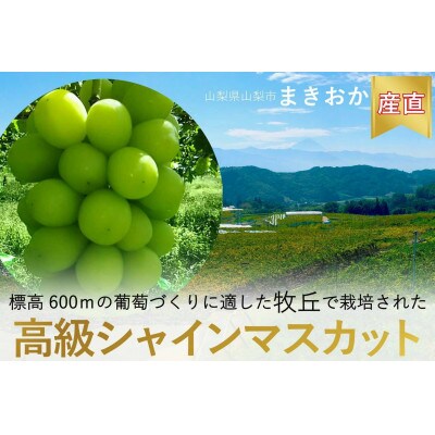 巨峰の丘　ぶどうの専門家がお届けする巨峰とシャインマスカット　各1房　合計約1.1kg