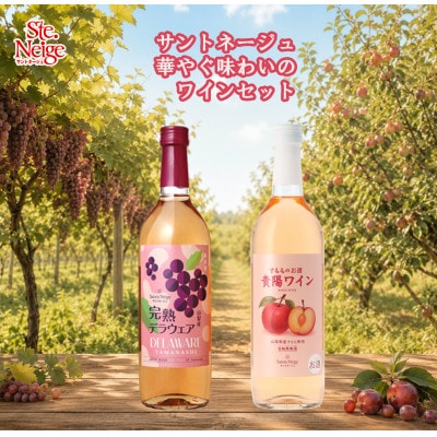 サントネージュ　華やぐ味わいのワインセット(山梨産完熟デラウェア・貴陽ワイン 各720ml)