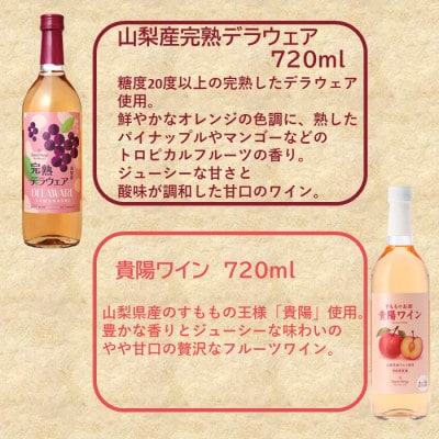 サントネージュ　華やぐ味わいのワインセット(山梨産完熟デラウェア・貴陽ワイン 各720ml)
