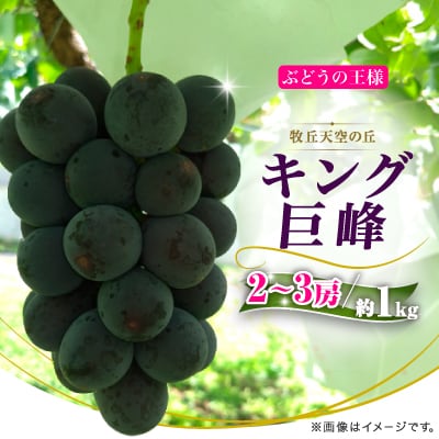 【2026年発送】9月中旬発送「幻の牧丘天空の丘キング巨峰」 約1kg(2～3房)