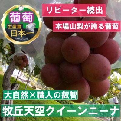 2025年9月下旬発送「幻の牧丘天空クイーンニーナ」 約1kg(2～3房)