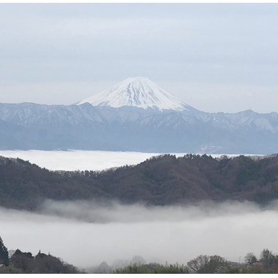 【2026年先行受付】2026年9月下旬発送「牧丘天空クイーンニーナ」 約1kg(2～3房)