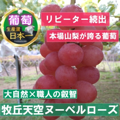 2025年9月下旬発送「幻の牧丘天空ヌーベルローズ」 約1kg(3～4房)
