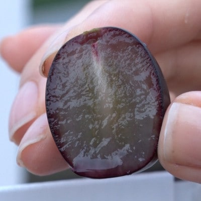 【2026年先行受付】10月上旬発送「牧丘天空マスカットノワール」約1kg(2～3房)