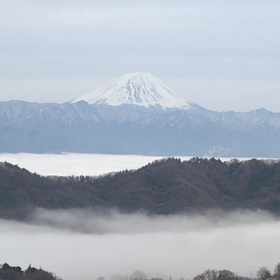 【2026年先行受付】10月上旬発送「牧丘天空マスカットノワール」約1kg(2～3房)