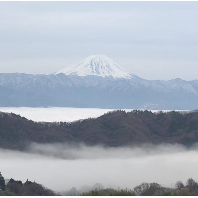 【2026年先行受付】10月下旬より発送「牧丘天空の丘マスカットノワール」約1kg(2～3房)