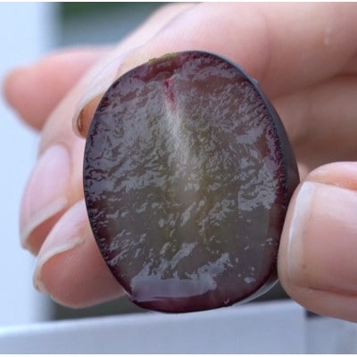 【2026年先行受付】10月中旬発送「牧丘天空マスカットノワール」約1kg(2～3房)