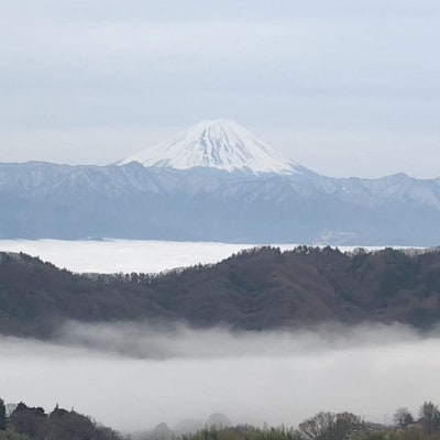 【2026年先行受付】10月中旬発送「牧丘天空マスカットノワール」約1kg(2～3房)