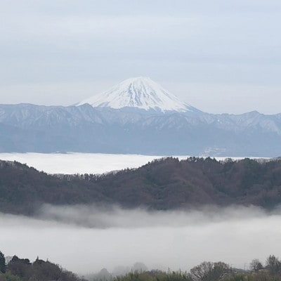 【2026年先行受付】10月下旬より発送「幻の牧丘天空マイハート」約1kg(2～3房)