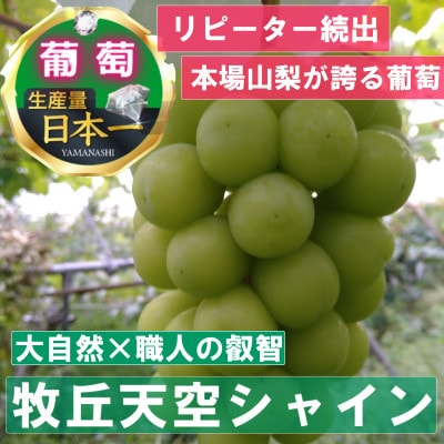 「幻の牧丘天空シャインマスカット+クインニーナ」約1kg