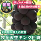 「幻の牧丘天空ブランドのシャインマスカット+キング巨峰」約1kg