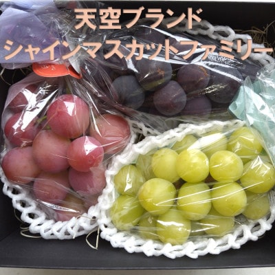 【2026年先行受付】牧丘天空ブランド　皮ごと食べられるぶどう3色詰め合わせ 約1kg(3房)