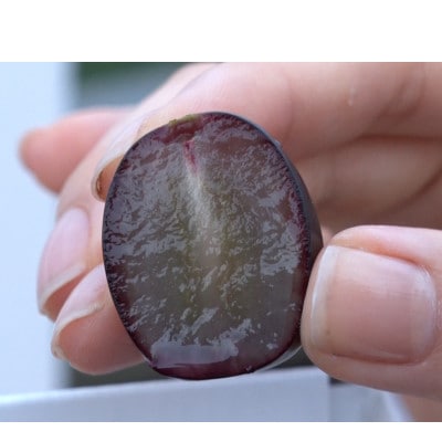 【2026年先行受付】皮ごと食べられるぶどう3色詰め合わせ 約1kg(3房)