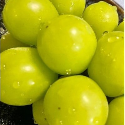 【2026年先行予約】2026年10月中旬発送「牧丘天空の丘シャインマスカット」約1kg(2～3房)