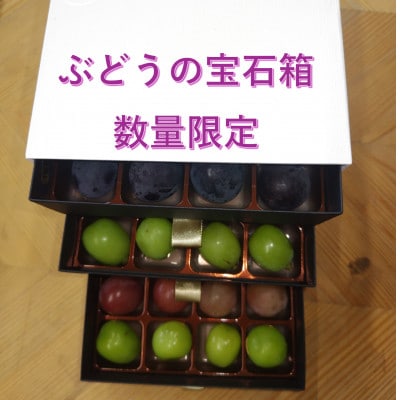【2026年先行受付】ぶどうが光り輝く宝石に!!牧丘天空の丘ブランドぶどうの宝石箱 約700g