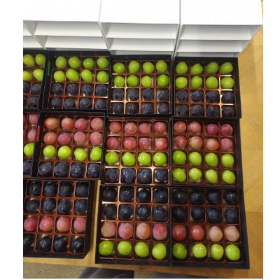 【2026年先行受付】ぶどうが光り輝く宝石に!!牧丘天空の丘ブランドぶどうの宝石箱 約700g