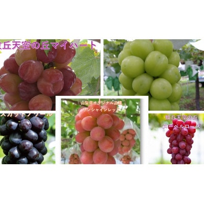 【2026年先行受付】超希少　牧丘天空の丘ブランド「シャインマスカットファミリーバラエティーセット」