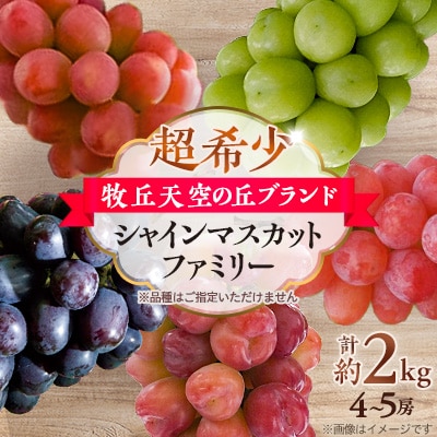 【2026年先行受付】超希少　牧丘天空の丘ブランド「シャインマスカットファミリーバラエティーセット」
