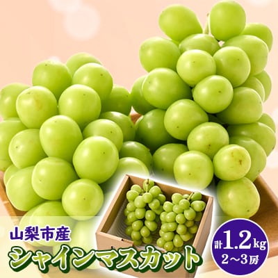 やみつきシャインマスカット　1.2kg (2～3房)