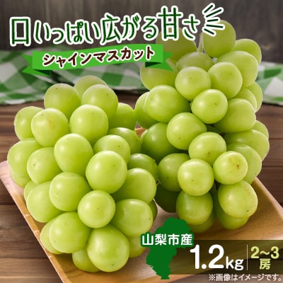 やみつきシャインマスカット 1.2kg (2～3房)
