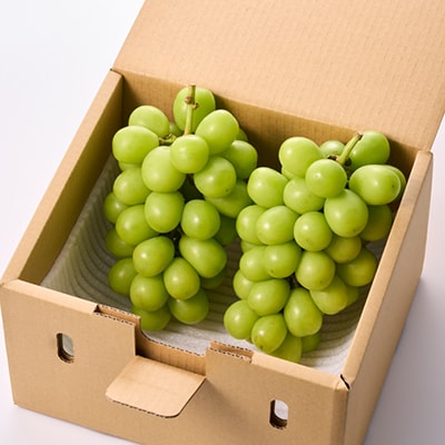 やみつきシャインマスカット　1.2kg (2～3房)