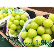 ちょんまげマーケットのやみつきシャインマスカット 1.5kg(3房) | ふるさと納税のお礼品