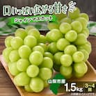 やみつきシャインマスカット 1.5kg(3～4房)