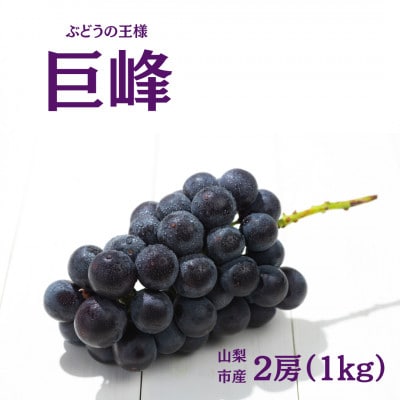 【2026年先行受付】産地直送 山梨市産 巨峰2房