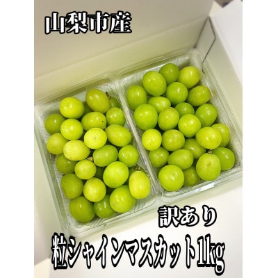 【訳あり】粒シャインマスカット 約1kg