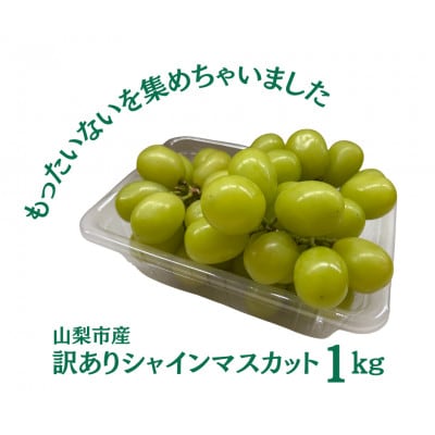 【2026年先行受付】訳あり 粒 シャインマスカット 約1kg