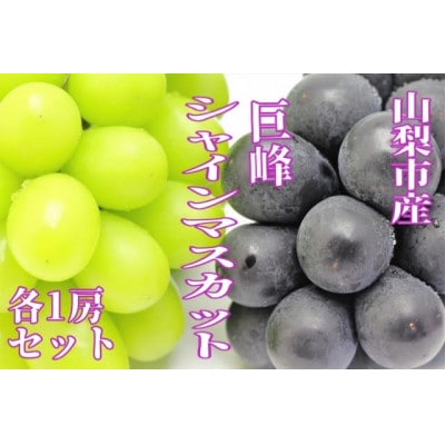 大好評!巨峰・シャインマスカットどちらも楽しめるセット