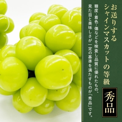 大人気!シャインマスカット秀 1.2kg(2～3房)