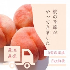 桃 2kg 秀品 山梨市産