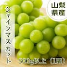 やみつきシャインマスカット 500g以上(1房)
