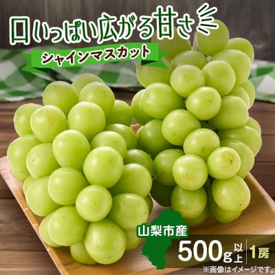 やみつきシャインマスカット 500g以上(1房)