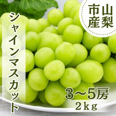 【2026年先行受付】やみつきシャインマスカット 2kg(3～5房)