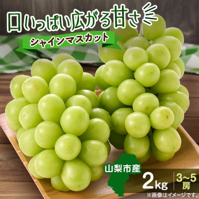 【2026年先行受付】やみつきシャインマスカット 2kg(3～5房)