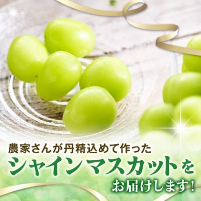 【2026年先行受付】やみつきシャインマスカット 2kg(3～5房)