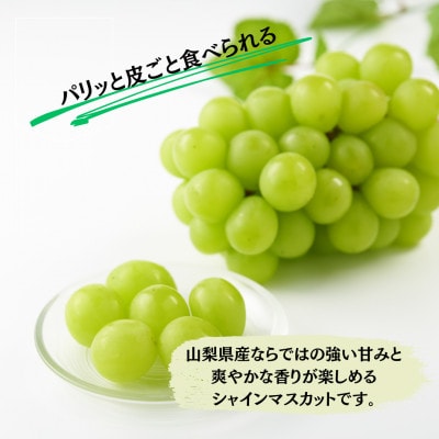 【2027年発送先行受付】大人気! シャインマスカット秀 2kg(3～5房)