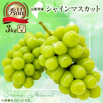 【2026年先行受付】大人気! シャインマスカット秀 3kg(4～7房)