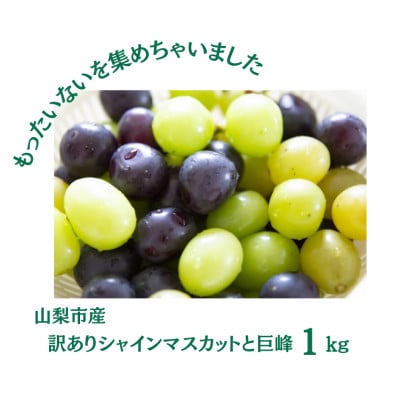 【2026年先行受付】訳あり カット シャインマスカット カット 巨峰 計1kg