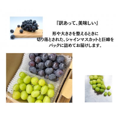 【2026年先行受付】訳あり カット シャインマスカット カット 巨峰 計1kg