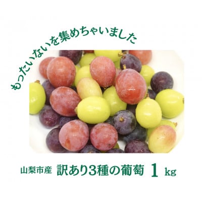 【2026年先行受付】訳あり 葡萄3品種 粒シャインマスカット 黒ぶどう 赤ぶどう 計1kg