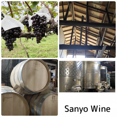 三養醸造 デラウェア2024 750ml×1本