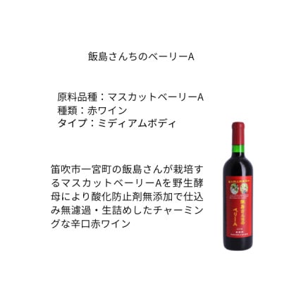 東晨洋酒 飯島さん家のベーリーA 無添加ワイン